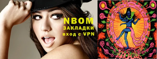 стафф Алзамай