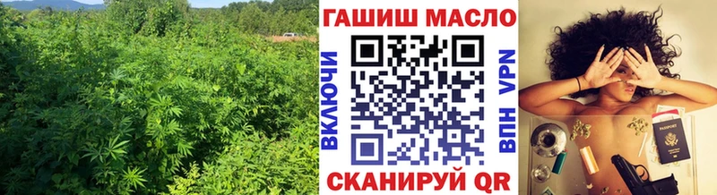 Купить закладки  Верхотурье  Дистиллят ТГК Wax 