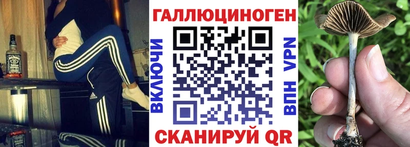 Псилоцибиновые грибы Magic Shrooms  Купить  Верхотурье 